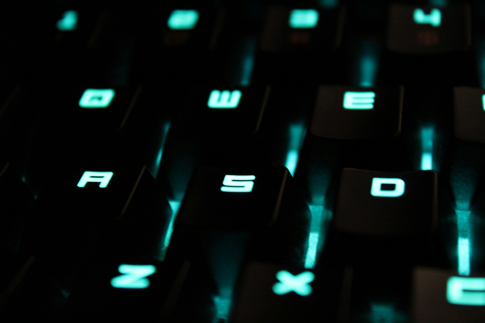 Close-up photograph of a gaming keyboard’s W, A, S and D keys